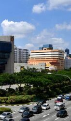 Sim Lim Square (D7), Shop House #454351331